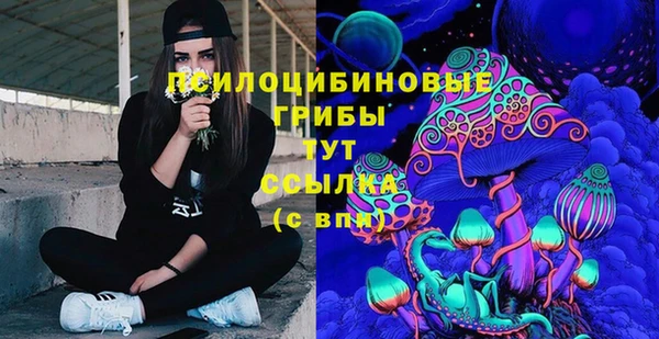 прущий лед Армянск