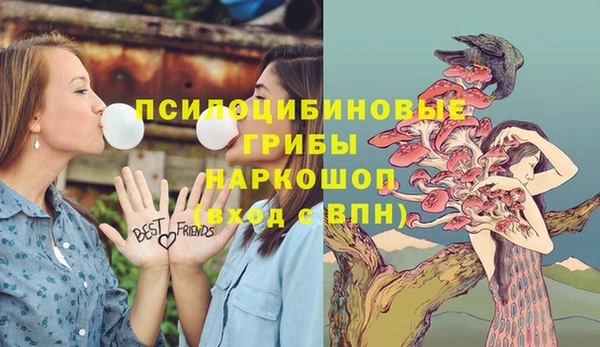 прущая мука Аркадак