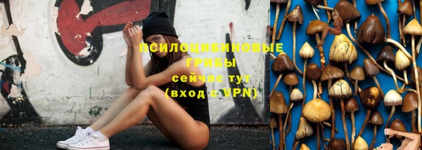 прущий лед Армянск