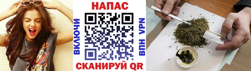 Бошки Шишки Amnesia  Пучеж 